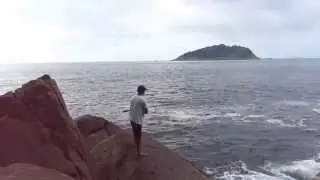 olho de cão e xaréu olhudo na praia vermelha