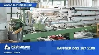 HAFFNER DGS 187 5100 (Höchsmann Klipphausen)