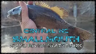 Smallmouth on Willowblade Spinner (H & H)