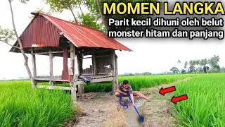 MOMEN LANGKA !! Mancing belut diparit-parit kecil dapat belut super besar dan panjang