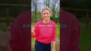 Mach dies nicht! Mach das nicht! Das würde ich auf keinen Fall machen