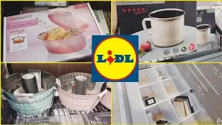 💛💙 SUPER ARRIVAGE LIDL 5 août 2024