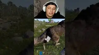 неравная схватка в 