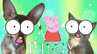Задротеры!!! Играем в Roblox! Piggy. Chapter 12