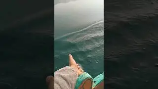 #trendingsongs #viral #shorts  shikara ride #winterinkashmir