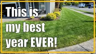 I have the BEST lawn in the neighborhood! Amazing results from my efforts!