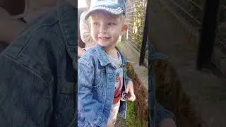 парк птичек полное видео