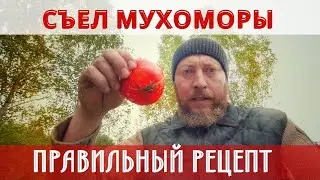 ПРИГОТОВИЛ МУХОМОРЫ ПРАВИЛЬНО И СЪЕЛ! КАК ГОТОВИТЬ МУХОМОРЫ!