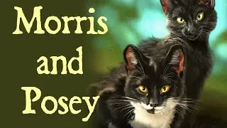 Photoshop Time Lapse - Morris and Posey