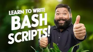 How to Write Bash Scripts in Linux