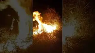Incêndio em antiga granja da BRF em Toledo coloca casas em risco