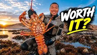Dangerous Giant Lobster Extraction From A Deep Cave!