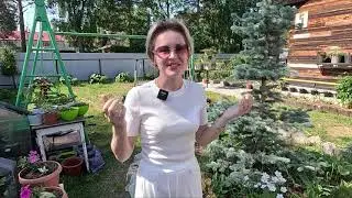 LIVE/ОБЗОР УЧАСТКА НА 14 ИЮНЯ.2023