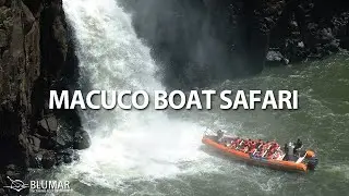 Macuco Boat Safari
