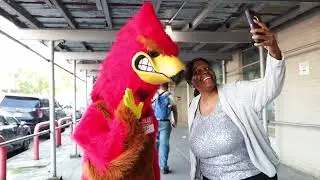Introducing…Rebel, the Red Hawk!