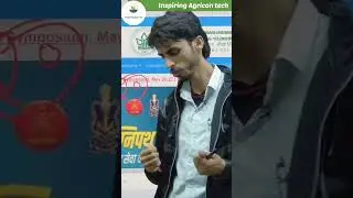 Placement के पीछे मत भागो / Motivation by Revati Raman 