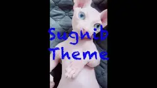 Sugnib theme (From Bingus Quest, an upcoming film)