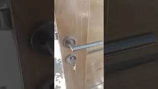 nice door knob stainless steel with double Lock #furniture #diywoodworking #bestdoordesign