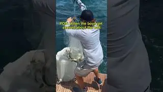 When the guys get exited about the BAIT 🤣🫨😺 