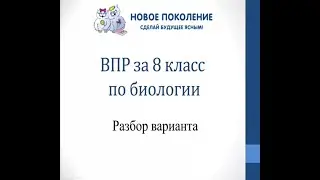 Биология. Разбор варианта ВПР по биологии 8 класс