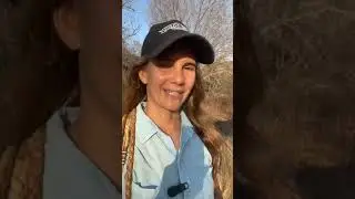 What Matters MOST In Building a Relationship with a Horse?