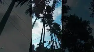 গ্রাম বাংলার সকাল | @GlitchBird_Studio |
