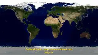 Seasons in Catfood Earth