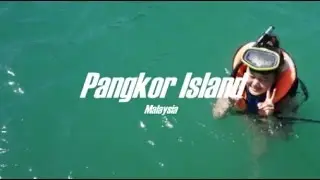 ISLAND HOPPING, SEA CUCUMBERS & SNORKELLING | TRAVEL VLOG