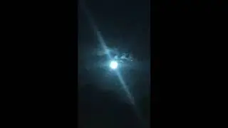 🌙 free// animagus // alternative rock x acoustic guitar (ambient) type beat