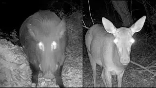 Et pas qu'eux !