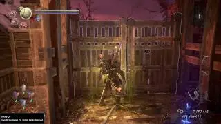 Nioh 2 - Hachisuka Koroku Crusher NO DAMAGE