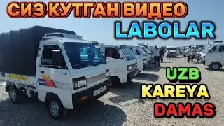 лабо карея узб Дамас нархлари Фаргона 03.07.2024