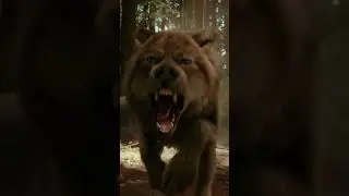 Vampire vs. Werewolf 