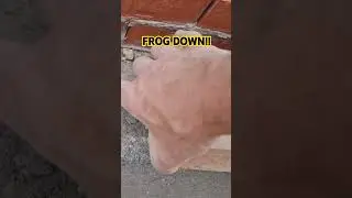 Frog DOWN, a fine example! Ribbit!