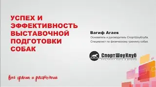 Успех и эффективность выставочной подготовки собак. Онлайн-форум КОМПАНЬОН.