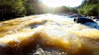 Low level Water FPV
