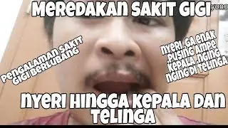 Banyak Yang Belum Tau !! Tips Cara Meredakan Sakit Gigi Sampe Telinga dan Kepala