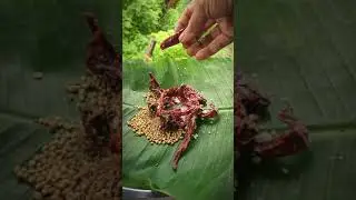 colocasia leaves | pathrode |mangalore special