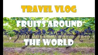 BEST FRUITS AROUND THE WORLD