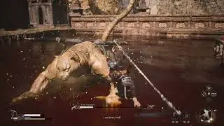 Tiger Vanguard Black Myth Wukong