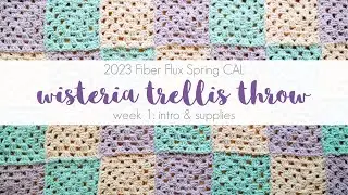 2023 Spring CAL Week 1: Wisteria Trellis Throw