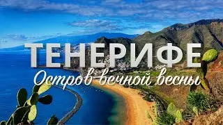 Prices and best places in Tenerife for 1 vacation - water park, zoo and beaches! 
