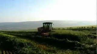 massey ferguson 9635 גד"ש מרום ארבל-קציר 2012