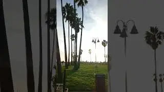 Venice Beach Boardwalk. Los Angeles, California