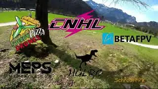 Homespot one pack fly✌ #cnhl