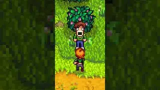 Oh │ Stardew Valley