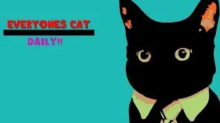 Every Ones Cat