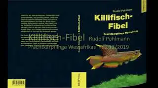 Killifisch Fibel Prachtkärpflinge Westafrikas
