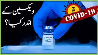 What is Inside Corona Vaccine | Covid-19 | Urdu | Hindi