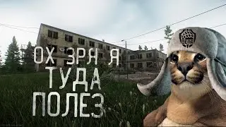 НА ТАМОЖНЕ С ГОРЕМ ПО ПОЛАМ//НЕЛЬЗЯ ТРОГАТЬ ДИКИХ//ПОРАЖЕНИЕ РЕШАЛЫ